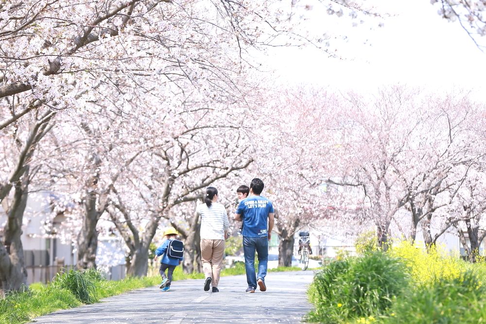 桜撮影会イメージ写真