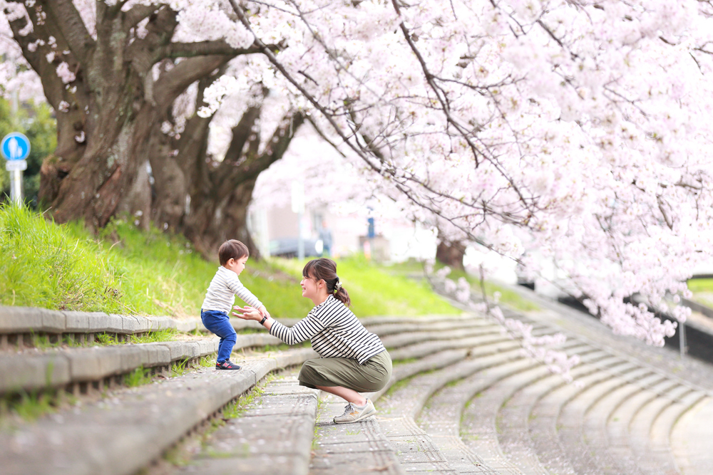 桜撮影会イメージ写真