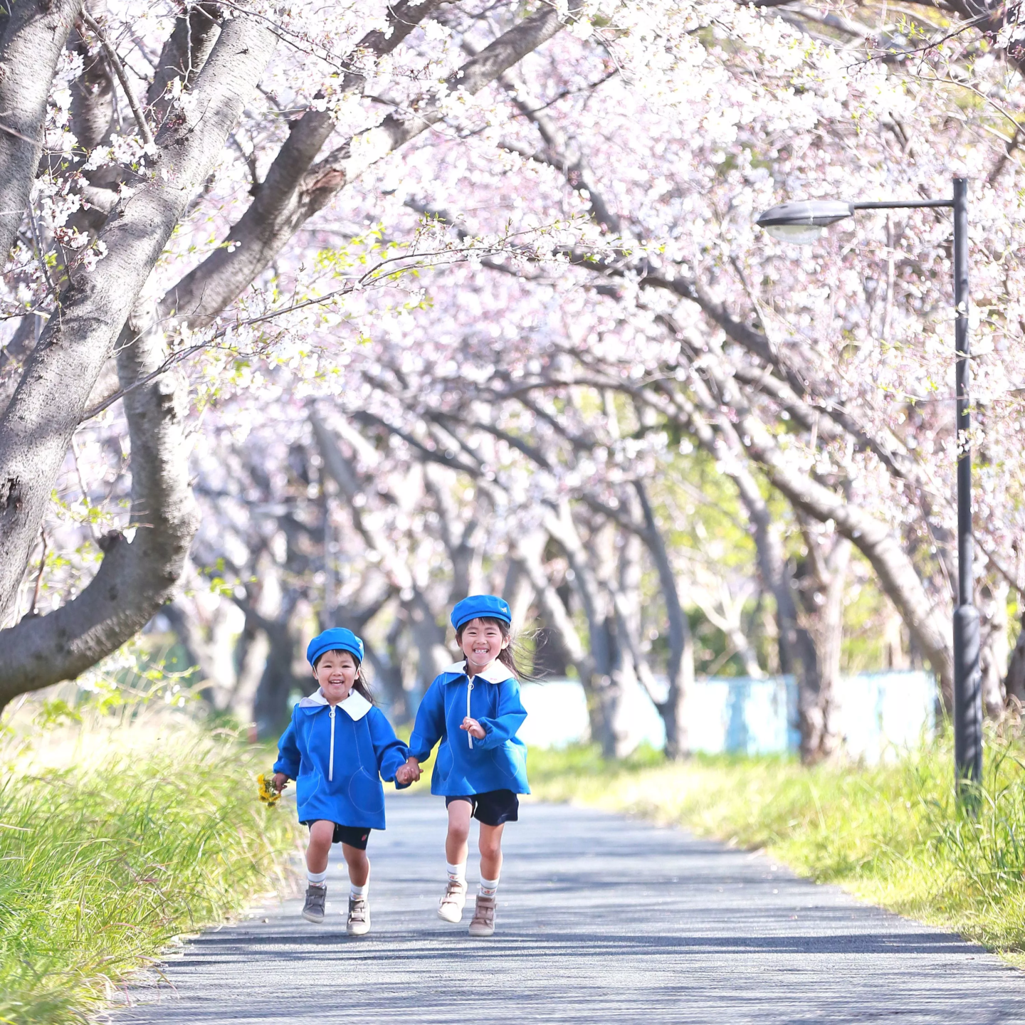 リバーサイドフォトの桜撮影会　イメージ写真