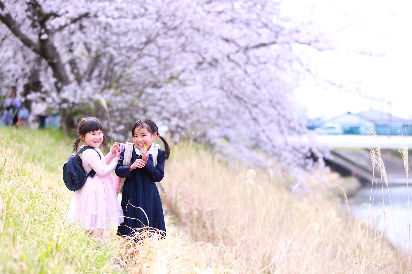 桜撮影会写真サンプル