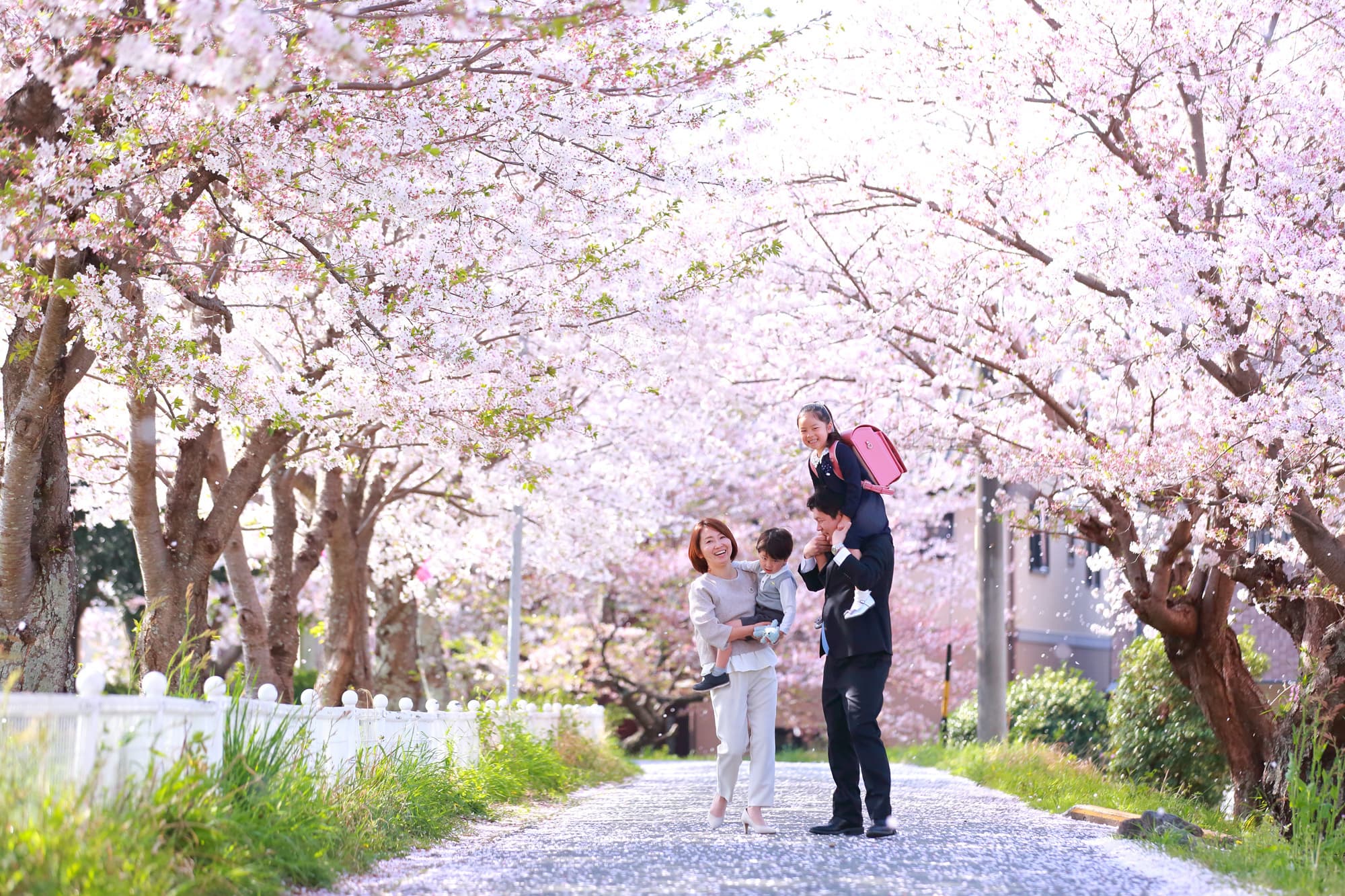 桜撮影会写真サンプル
