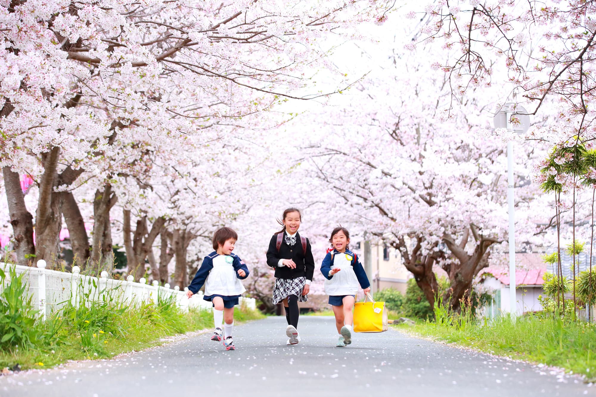 桜撮影会写真サンプル