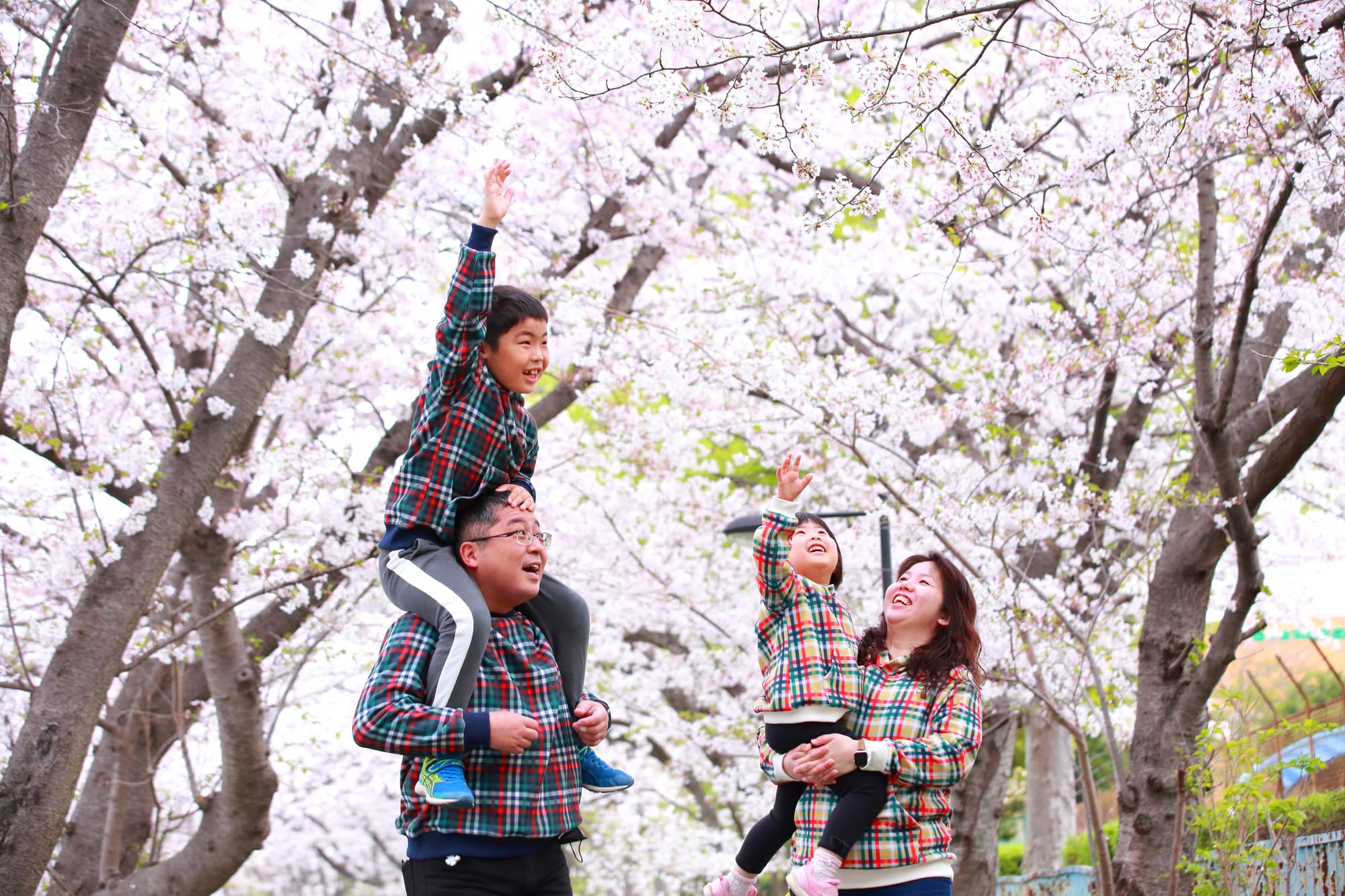 桜撮影会写真サンプル