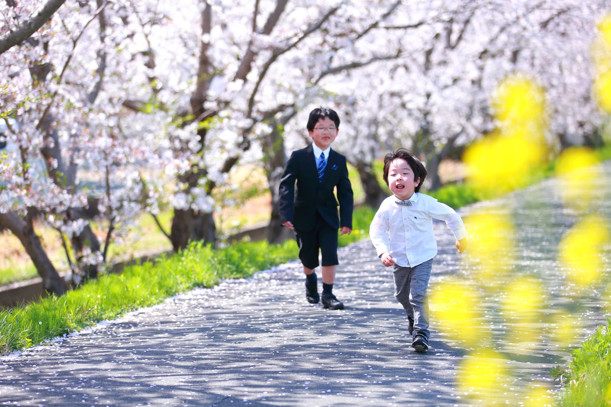 桜撮影会写真サンプル