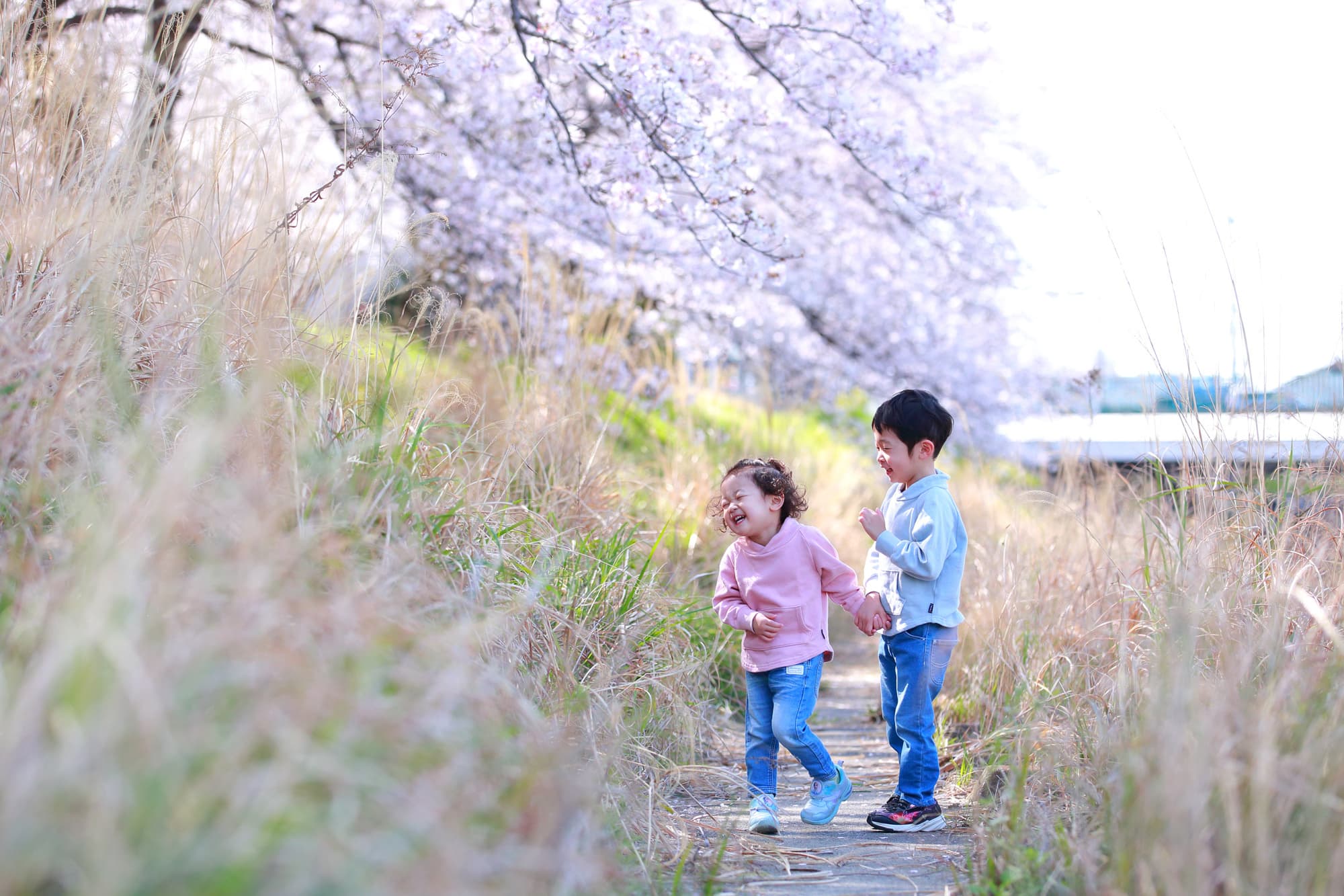 桜撮影会写真サンプル