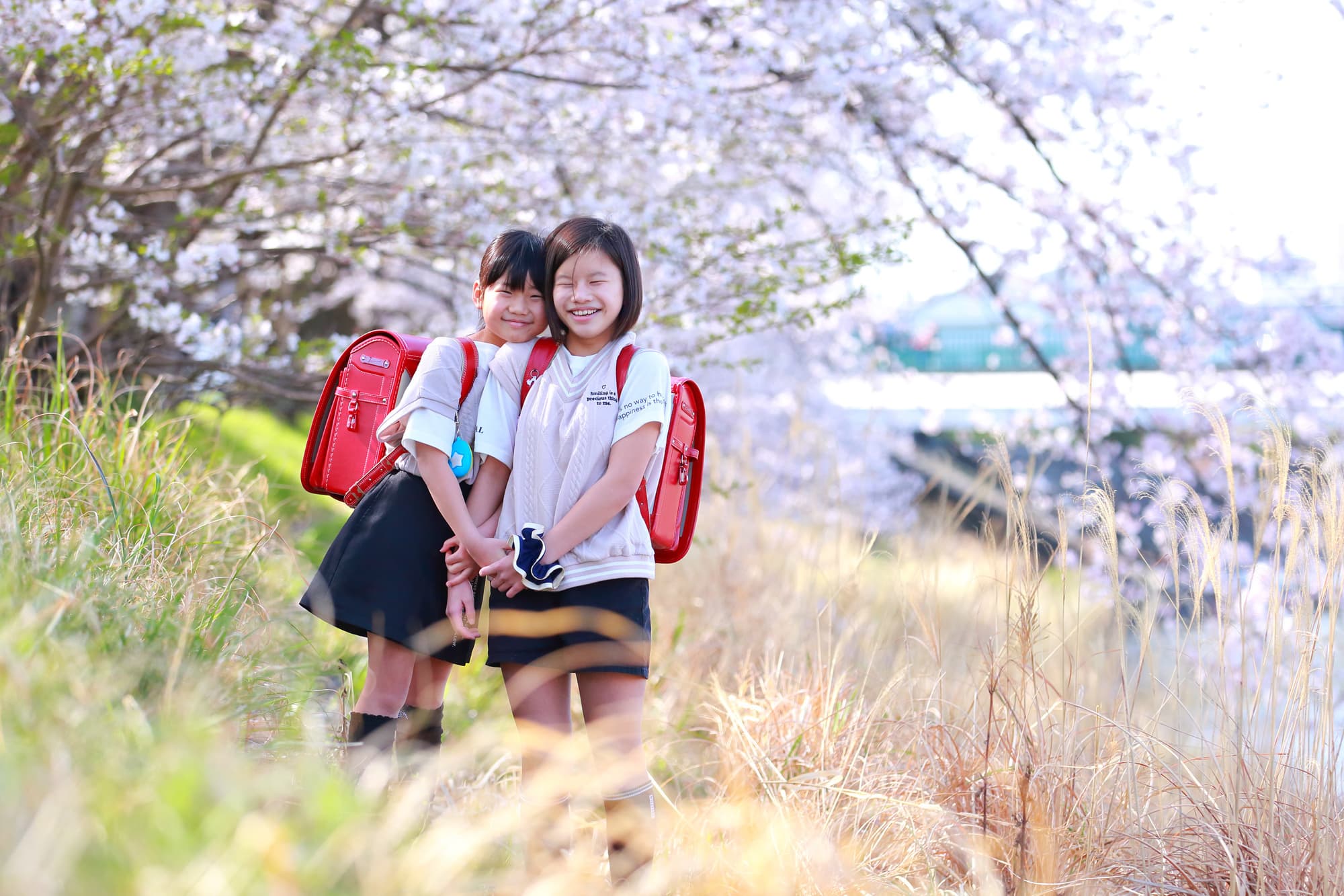 桜撮影会写真サンプル
