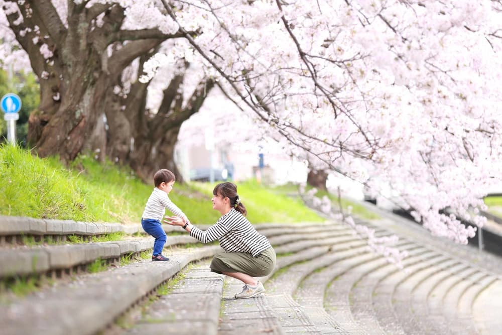桜撮影会写真サンプル