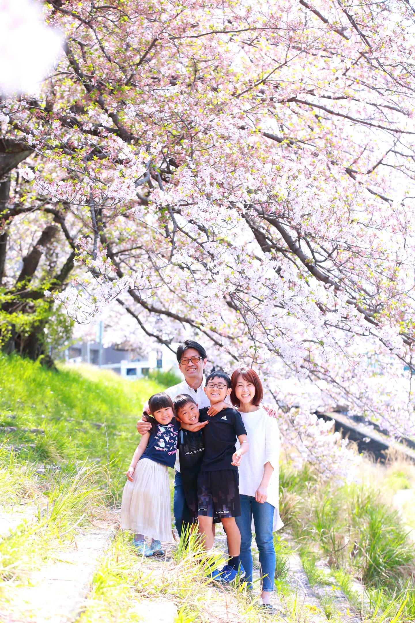 桜撮影会イメージ写真
